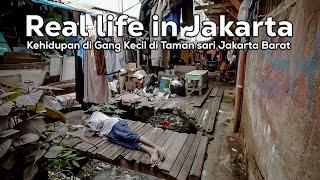 Kehidupan Di Gang Kecil di wilayah Taman sari Jakarta Barat  Jakarta Slum alley