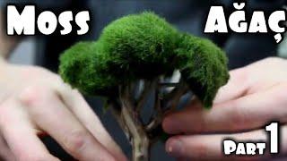 Akvaryum için ağaç nasıl yapılır Moss ağacı part 1 aquarium in bonsai