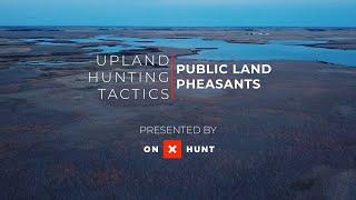 Upland Hunting Tactics with onX Public Land Pheasants