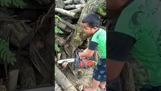 test performa chainsaw new west 258 top handle.kids zaman now.#shorts #keren #woodworking