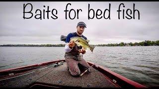 Swimbaits and drop shots for largemouth on beds