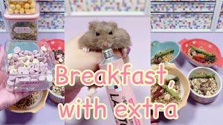 Breakfast with extra   HamppyHamster