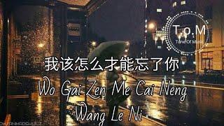 Wo Gai Zen Me Cai Neng Wang Le Ni 我该怎么才能忘了你 Lyrics Pinyin - Yao Qian 姚倩  MANDARIN SONG 