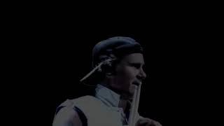 Red Hot Chili Peppers - Parallel Universe - Parc des Prince 2004