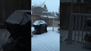 #kanada #canada #winter #snow #winterspecial #wintercanada #calgary #kanadadayaşam #kar #weather