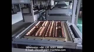 Egg tray making machine