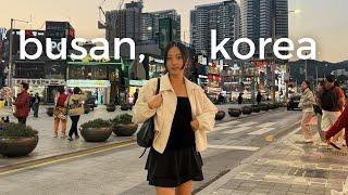 day in my life in busan   train to busan street food shopping family time