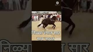 look America this is indian horse dance  so funny