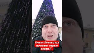 Актуальная песня на НГ #клипы #нг2022 #ленинград #версиянародная #музыка