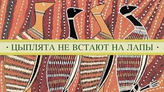 Цыплята бройлеры не встают на лапы. Микобактериоз криптоспоридиоз кампилобактериоз кур.