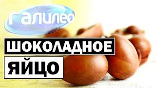 Галилео  Шоколадное яйцо  Chocolate egg