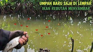 Bikin Merinding  Spot Kecil Isinya Belanak Babon  Mancing Belanak