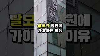 M자탈모 진행중 이라면 꼭 보셔야 합니다 #탈모 #탈모약