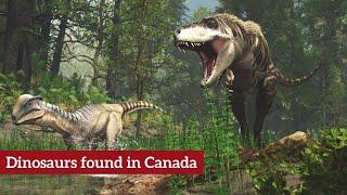 NEW Dinosaurs found in Canada