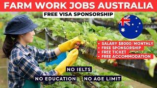 Australia Farm Work Jobs with FREE Visa Sponsorship for 2024 - Australia Work Visa