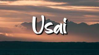 Tiara Andini - Usai Lirik - Mix Playlist