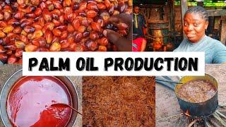 Step by Step of PALM OIL PRODUCTION PROCESSESHow to produce Palm oil at HOMEGracious Tales