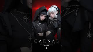 Dark Techno  EBM  Industrial Mix CARNAL Copyright Free