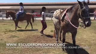 Equine Assisted Learning Activities