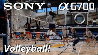 Sony a6700 College Volleyball Photography with Sigma 18-50 f2.8 Zoom Lens