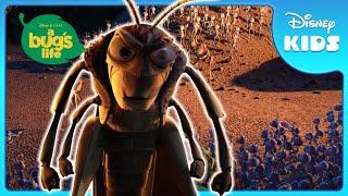  Brave Ants Challenge Grasshoppers  A Bugs Life  Disney Kids