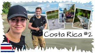 Marino Ballena Nationalpark in Uvita • mit dem Bus nach Drake Bay   Weltreise Vlog 02 • Costa Rica