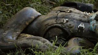 Paul Rosolie to be EATEN ALIVE by Giant Anaconda Snake