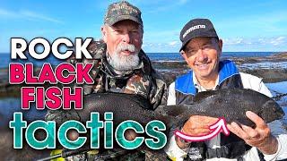 How to CATCH + COOK Rock Blackfish Two BEST Methods 