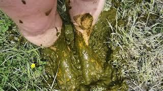 Bare foot cow pat shit stomping