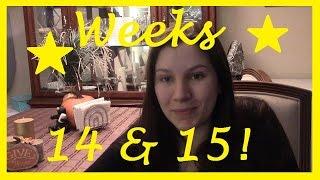 WEEKS 14 & 15 BUMPDATE Flutters Compression Sock Fail First Child IVF Success