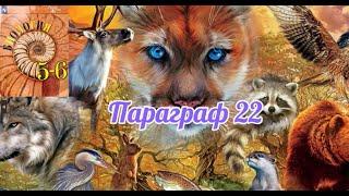 Биология 5-6 класс Пасечник аудио параграф 22 Характеристика царства животных