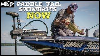 A Beginner’s Guide to Paddle Tail Swimbaits