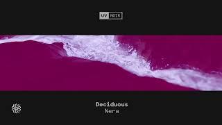 Deciduous - Nera