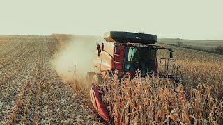 South Dakota Soybean and Corn Harvest 2022 Drone Footage Super Cut