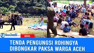 Viral Tenda Pengungsi Rohingya Dibongkar Paksa Warga Aceh