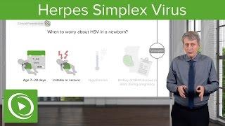 Febrile Baby Herpes Simplex Virus – Pediatrics  Lecturio