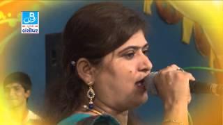 Rajdeep Barot 2015 Vanita Barot Dj Live Programme - 1