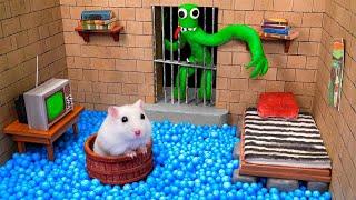 1 Hour Challenges ️ Hamster Escapes From Rainbow Friends Maze  in real life