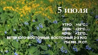 Погода на 5 июля