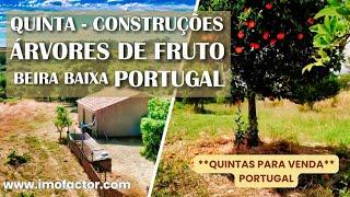  Quinta com Construções Rurais  e Árvores de Fruto  Beira Baixa - Portugal  Reservado