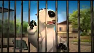 BERNARD Zoo - Film danimation