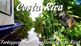 Costa Rica Tortuguero - mit dem Boot unterwegs im wilden Teil der Karibik