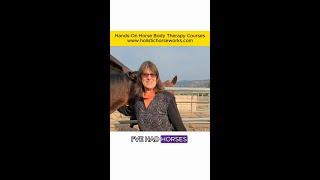 Hands-On Horse Body Therapy Courses  Happy Student Testimonial  Holistic Horseworks