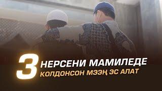 Үч нерсени мамиледе колдонсон мээң эс алат