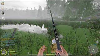 THE BEST TENCH FISHING IN OLD BURG LAKE XP AND MONEY EASILY FOR BEGINNERS