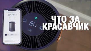 ОЧИСТИТ ВОЗДУХ ЗА 6 МИНУТ Стильный и умный очиститель воздуха Smartmi Air Purifier P1  Обзор