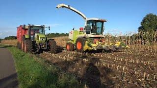 Mais hakselen door loonbedrijf Mollink met Claas Jaguar 860 en 2 Claas Ares trekkers 2022