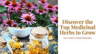 Discover the Top Medicinal Herbs to Grow Your Guide to Natural Remedies