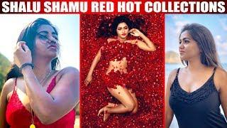 Shalu Shamu New Spicy Collections  Shalu Shamu  Hot Video