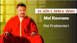 Mol Problemleri  14. Gün 1. Ders  6. Video